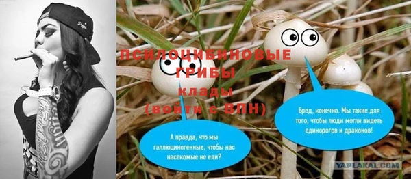 трава Абинск